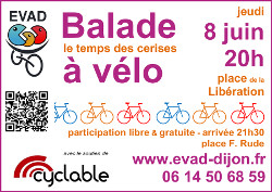 flyer_r250